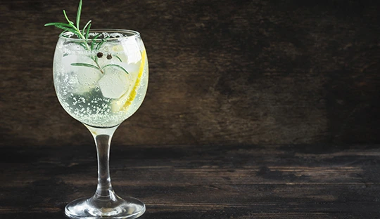 Gin Tonic Tradicional (gg)