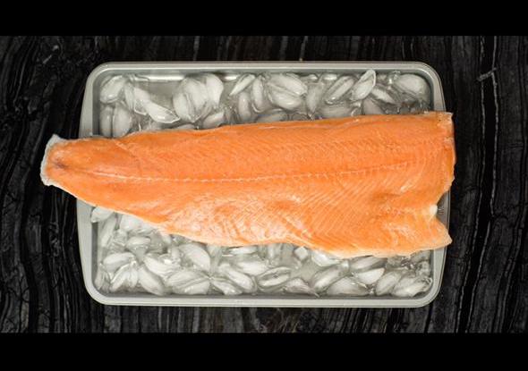 Filete entero de salmón Nemo sobre una bandeja con hielo, listo para la parrilla